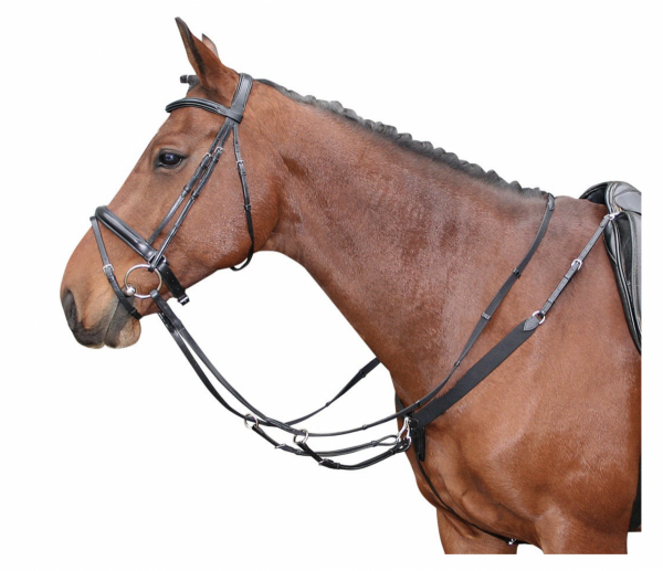 Napierśnik z wytokiem Harry's Horse 
