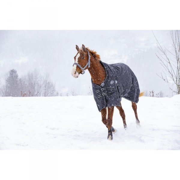 Derka padokowa Riding World &quot;Oxford&quot; black