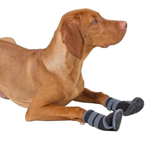 Buty dla psa Active, XXL, Kerbl