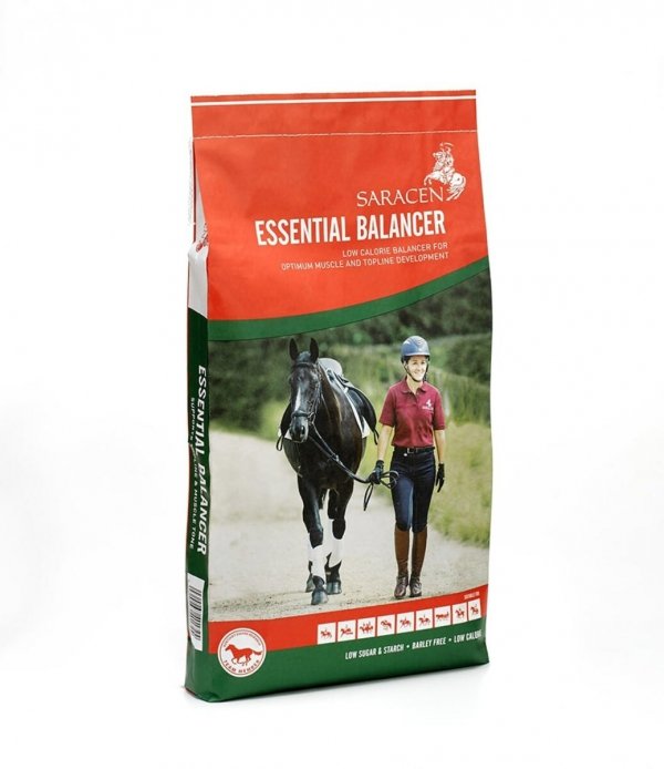 Saracen Essencial Balancer 20 kg