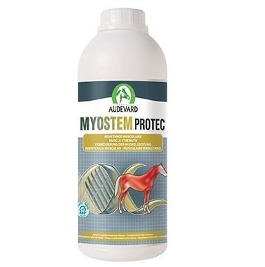 AUDEVARD MYOSTEM PROTEC 900 ML