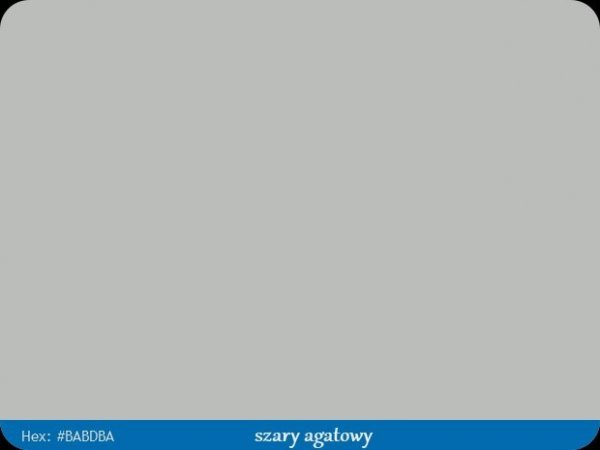 Kanten FIX RAL 7038 szary agatowy Pisak retusz