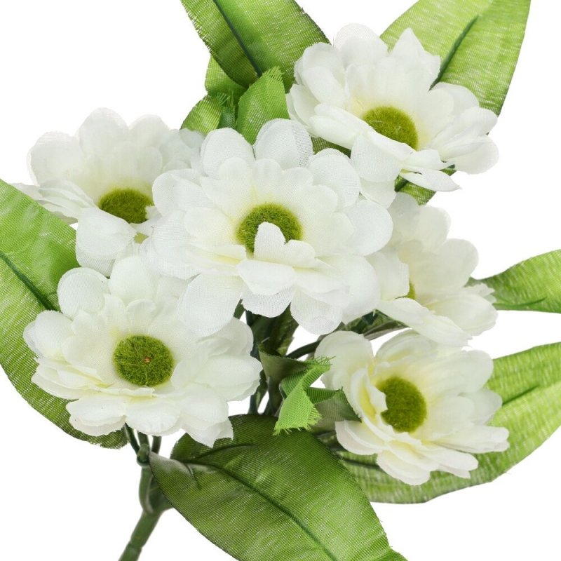 Margaretka Bukiet Kwiatów Białych [ 200 szt ]