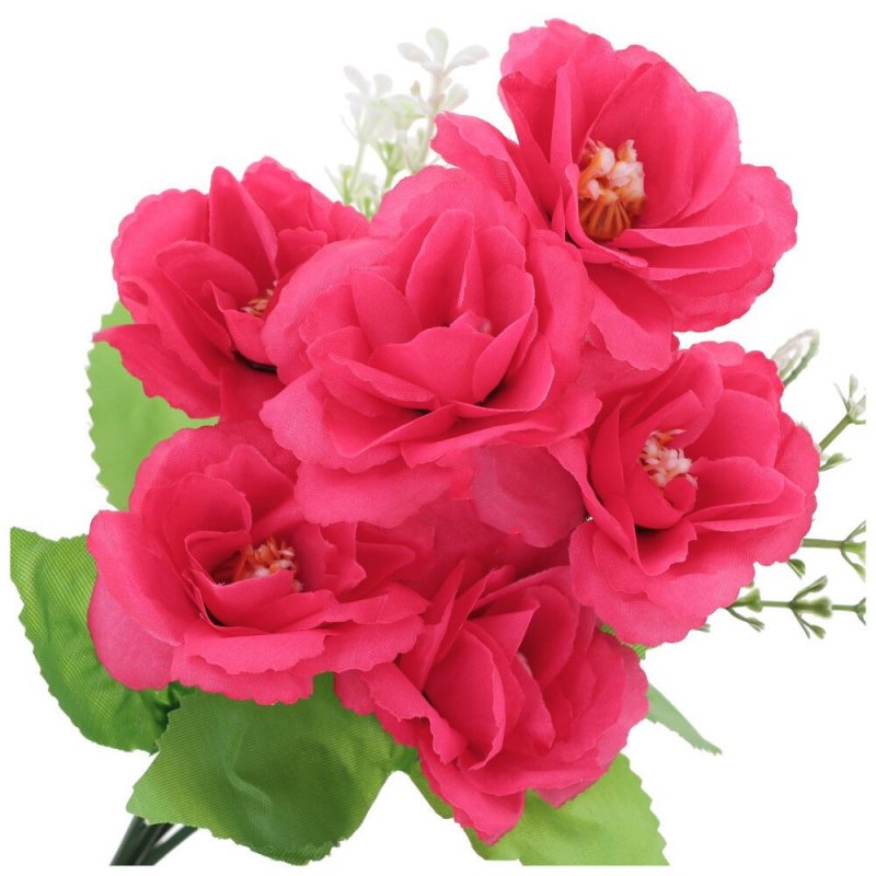 Bukiecik Peonia Amarant [100 sztuk]