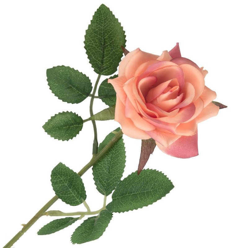 Róża Łodyga z Listkami Pomarańczowa [ 10 sztuk ]