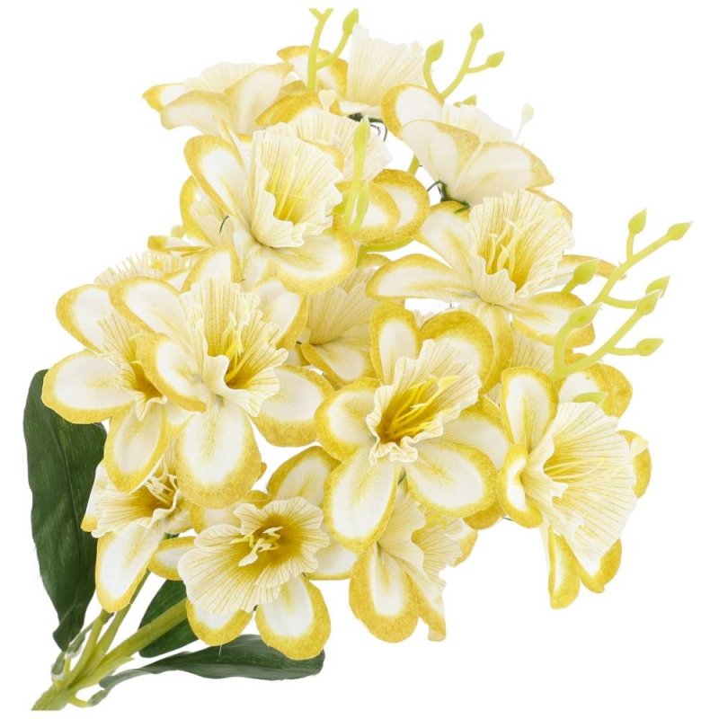 Bukiet Kwiatów Żonkil Żółty-Biel 4 Liście [ 5 Sztuk ]