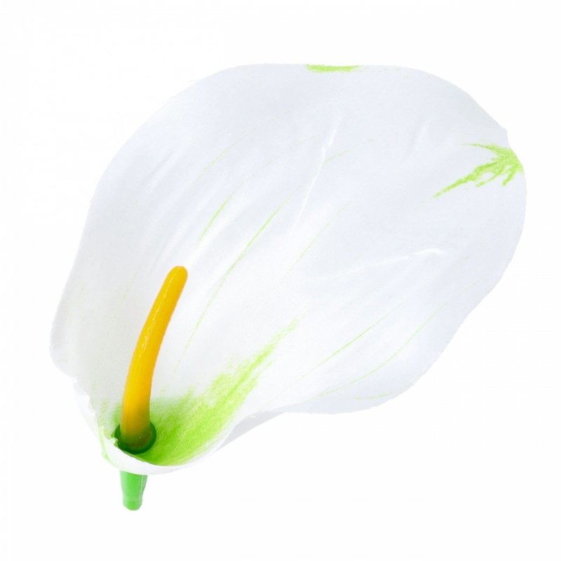 Główki Kalia 12szt Biały/Zieleń KR1631C [70opak]