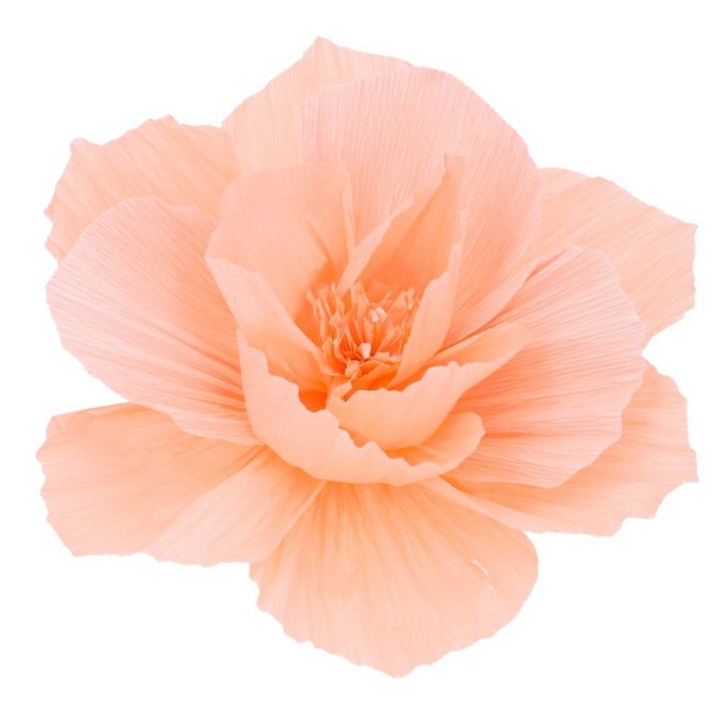 Papierowy Kwiat 35cm Brzoskwinia KR555A [ Komplet 50 sztuk ]