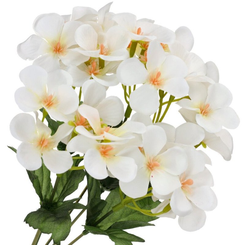 Hortensja Bukiet Kwiatów Biel [ 20szt ]