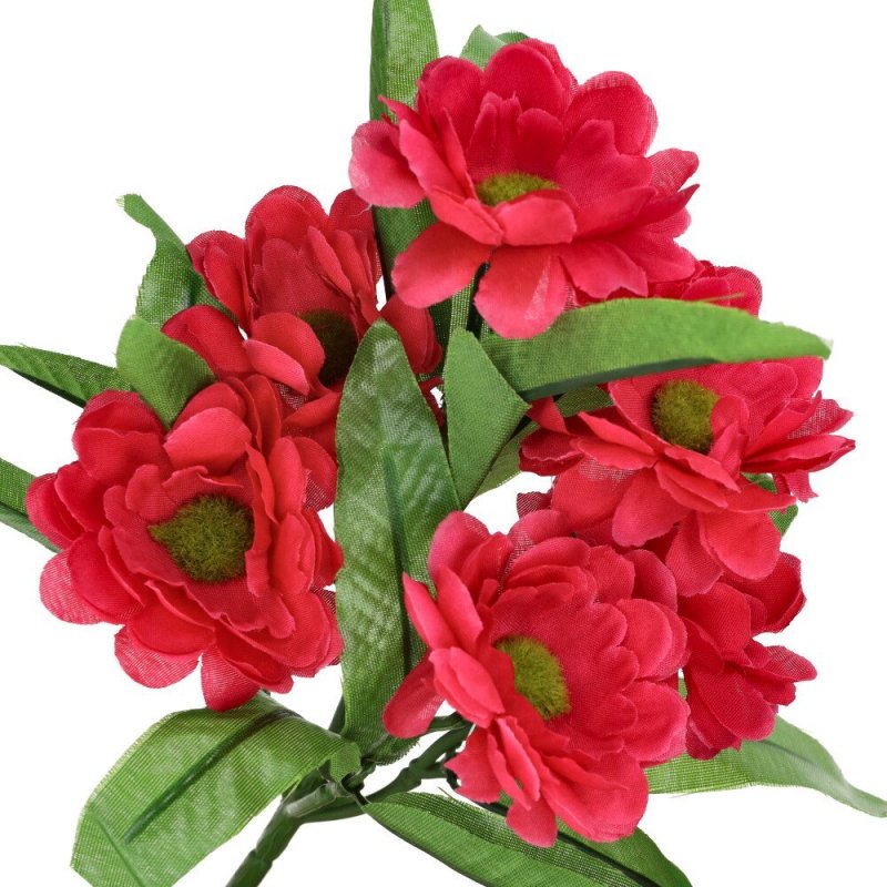 Margaretka Bukiet Kwiatów Amarantowych [ 200 szt ]
