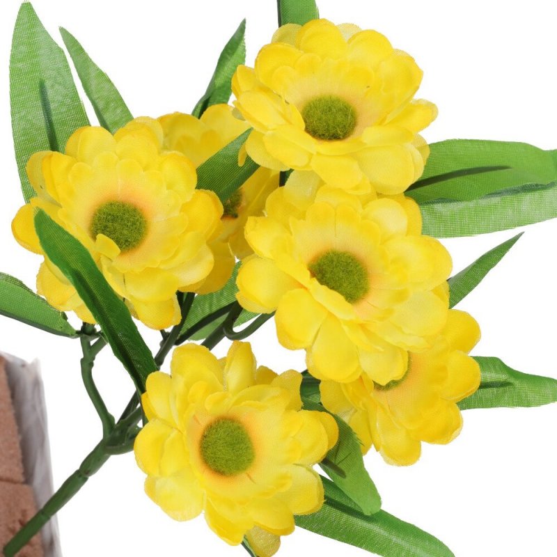 Margaretka Bukiet Kwiatów Żółtych [ 200 szt ]