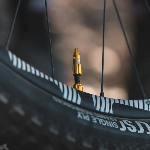 Nakrętki wentyli Lezyne CNC TLR Valve Cap — srebrne, Presta (wykrętak rdzenia + Torx T25), 2 szt.