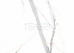 VILO - Panele ścienne SPC Calacatta White połysk 30x60
