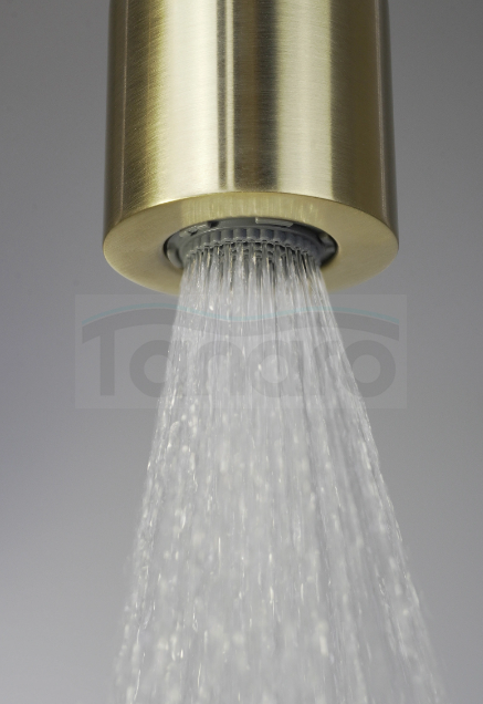 DEANTE - Zestaw prysznicowy podtynkowy SILIA z główką prysznicową Złoto Szczotkowane NQS_R9XK