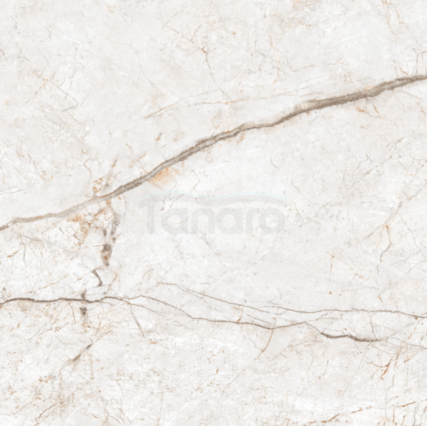 PRIME CERAMICS Płytki gres AVORIO BIANCO 60X60