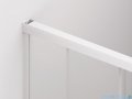 SanSwiss Cadura White Line drzwi przesuwne 100cm jednoskrzydłowe prawe z polem stałym profile biały mat CAS2D1000907