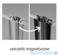 Radaway Furo SL Black KDD kabina 120x80cm czarny mat/szkło przejrzyste 10305120-54-01L/10305080-54-01R