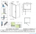 Radaway Nes Kdj II Brushed GunMetal kabina 80x80cm lewa szczotkowany grafit 10032080-92-01L/10039080-01-01