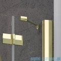 Radaway Almatea DWJ Gold drzwi wnękowe 110 lewe szkło intimato 31212-09-12N