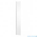Besco Eco-n kabina walk-in 100x195cm przejrzyste EN-100-195C
