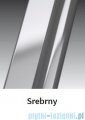 Novellini Drzwi prysznicowe przesuwne LUNES P 126 cm szkło przejrzyste profil srebrny LUNESP126-1B