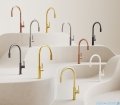 Omnires Switch bateria kuchenna z zestawem filtrującym miedź antyczna szczotkowana SW9057-FD1ORB