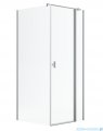 Radaway Nes Kdj II Brushed Nickel kabina 110x90cm prawa szczotkowany nikiel 10032110-91-01R/10039090-01-01