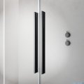 Radaway Furo Brushed GunMetal PND II parawan nawannowy 120cm prawy szczotkowany grafit 10109638-92-01R/10112594-01-01