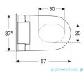 Geberit urządzenie WC z funkcją higieny intymnej AquaClean Sela, wisząca miska WC biała 146222111