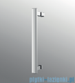 Novellini Modus G drzwi prysznicowe 100x195cm lewe MODUSG100L-S-1L