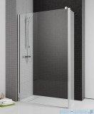 Radaway Eos II Walk-in kabina prysznicowa 100 lewa szkło przejrzyste + brodzik Delos C + syfon 3799502-01L/SDC1010-01