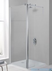 Sanplast kabina Walk-In z elementem ruchomym PR2/PRIII 120x198 cm przejrzyste 600-073-1000-38-401