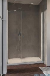 Radaway Nes 8 Dws I drzwi wnękowe 120cm prawe przejrzyste 10078110-01-01R/10078112-01-01