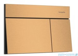 Hansgrohe iFrame Original E Przycisk spłukujący brąz szczotkowany 66003140