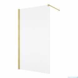 Ronal ANNEA ANT1 Ścianka wolnostojąca Walk-in 100x200 cm z profilem przyściennym złoto szczotkowane ANT110001307