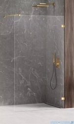New Trendy Avexa Gold Shine kabina Walk-In 140x200 cm przejrzyste EXK-2193