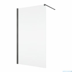 Ronal ANNEA ANT1 Gunmetal Szczotkowany Ścianka wolnostojąca Walk-in 120x200 cm z profilem przyściennym grafit szczotkowany ANT112002607