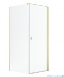 Radaway Nes 6 Kdj I Brushed Light Gold kabina 100x70cm prawa szczotkowane jasne złoto 10022100-98-01R/10039070-01-01