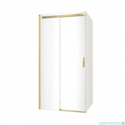 Excellent Rols kabina prostokątna 100x90 cm przejrzysta złoty połysk KAEX.2616.K.1000.0900.GL