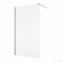 Ronal ANNEA ANT1 Ścianka wolnostojąca Walk-in 100x200 cm z profilem przyściennym nikiel szczotkowany ANT110002507