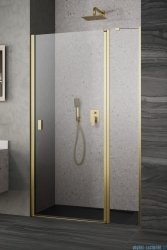 Radaway Nes Dwj II Brushed Gold drzwi wnękowe 120cm prawe szczotkowane złoto 10036120-99-01R