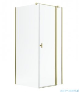 Radaway Nes Kdj II Gold kabina 100x75cm prawa złoty połysk 10032100-09-01R/10039075-01-01