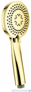 Deante Arnika Gold słuchawka prysznicowa 3-funkcyjna złoty NQA Z51S