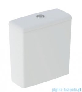 Geberit Selnova Square spłuczka WC biała do WC Rimfree 500490011