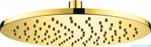 Deante Cascada Gold głowica prysznicowa mosiężna Ø 25 cm złota NAC Z00K