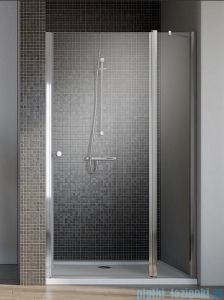 Radaway Eos II DWJ Drzwi prysznicowe 120x195 prawe szkło przejrzyste 3799444-01R