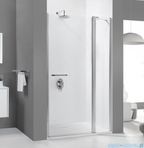 Sanplast drzwi skrzydłowe szkło przejrzyste DJ2/PRIII-120 600-073-0830-01-401