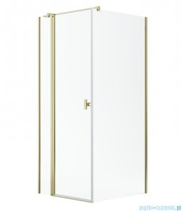 Radaway Nes Kdj II Gold kabina 80x70cm lewa złoty połysk 10032080-09-01L/10039070-01-01