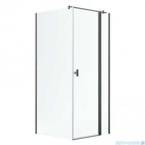 Radaway Nes Kdj II Brushed GunMetal kabina 80x100cm prawa szczotkowany grafit 10032080-92-01R/10039100-01-01