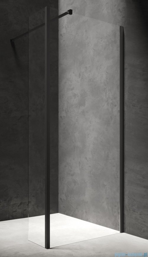 Omnires Marina Kabina prysznicowa typu walk-in ze ścianką boczną 100x200 cm przejrzyste profil czarny MA1030BLTR